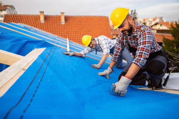 Best Roof Leak Repair  in Fowlkes, TN