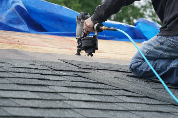 Best Roof Repair Specialists  in Fowlkes, TN